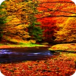 autumn wallpaper android application logo